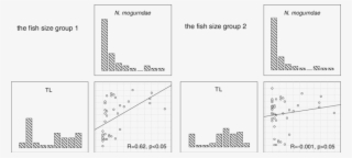 In The Lower Class Of Fish Length , Spearman's Test - Diagram #7746009