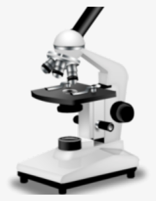 Eyepiece Or Ocular Lens #7746321