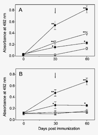 Time Course Of The Anti Philasterides Humoral Response - Diagram #7746782