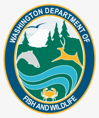 Washington Fish And Wildlife #7746948