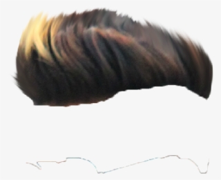 Hair Png ➤ Download - Shell #7747028