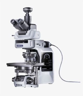 Olympus Bx63 Automated Upright Microscope - Olympus Microscopy #7747074