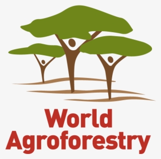 In Partnership With - World Kidney Day 2011 #7747214