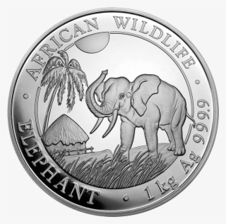 2017 Somalian Elephant 1kg Silver Coin - Silver Britannia 2008 #7747579