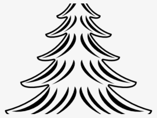 Eastern White Pine Drawings #7747832