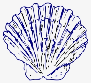Sea Shell 2 Svg Clip Arts 600 X 544 Px #7748477