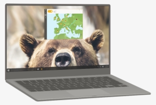 Browse 22 Countries - Bears #7749819