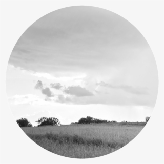 Transitions #7749955