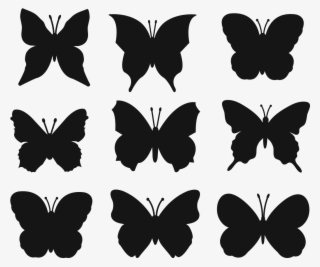 Sticker Auto Lots De Papillons Ambiance Sticker Ani06 - Pilodeudorix Deritas #7750006