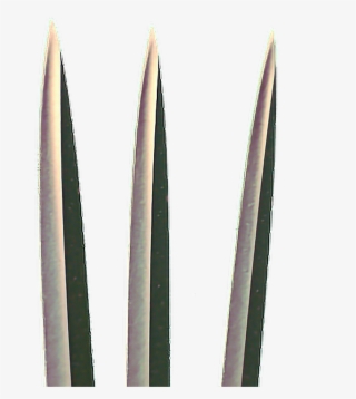 Freetoedit Awesome Cool Wolverine Claws #7750433