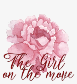 Rose Rose Rose Rose - Common Peony #7750444