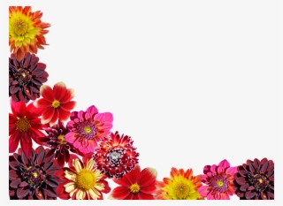 Dahlias, Autumn, Dahlia Garden, Dahlia - Tenha Tempo Para Sua Familia #7750471