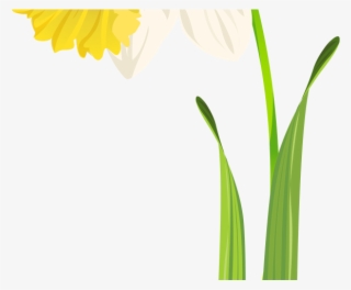 Flowers Color Clipart Single Flower #7751094