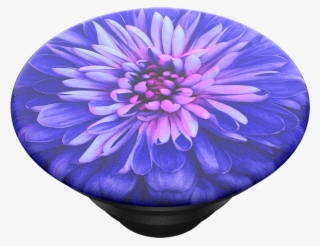 Be A Dahlia, Popsockets - Dahlia #7751216