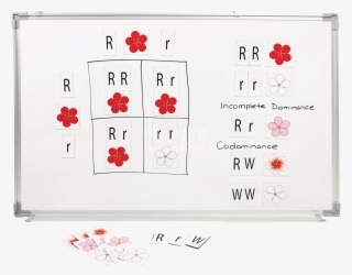 View Full Size - Craft #7752634