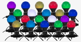 Immagine Principale - Educational Toy #7752880