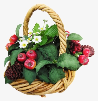 Fruit Images Pixabay Download Free Pictures Flowers - Anthurium #7752946