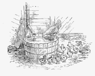 Chicken Hen Chicks Image Farm - Line Art #7753112