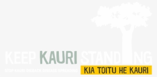 Keep Kauri Standing - Poster #7754118