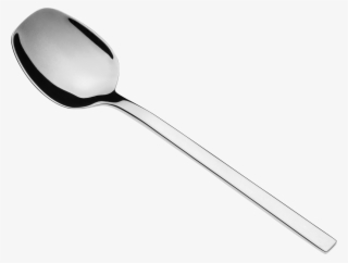 1600 X 1211 3 - Spoon #7754191