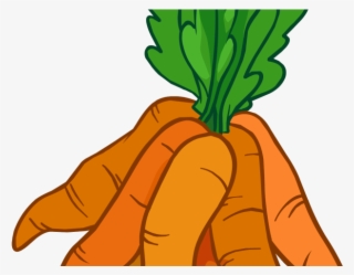 Welcome Clipart Carrot - Clipart Bunch Of Carrots #7755295