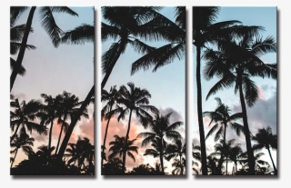 Palm Trees Background Hd #7755507 Palm Trees Background Hd #7755507