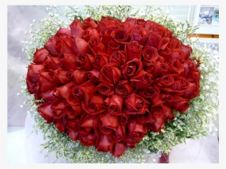 Hb R59 Love Forever - Garden Roses #7755742