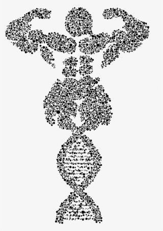 Big Image - Line Art #7757270