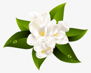 Free Png Download White Flower Transparent Png Images - Transparent Flower #7757678