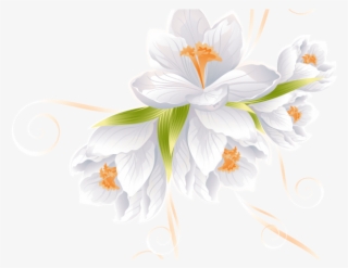 White Flower Clipart Transparent Background - Vector Flowers #7758009