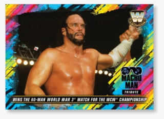 Gallery - Macho Man Wcw Champion #7759318