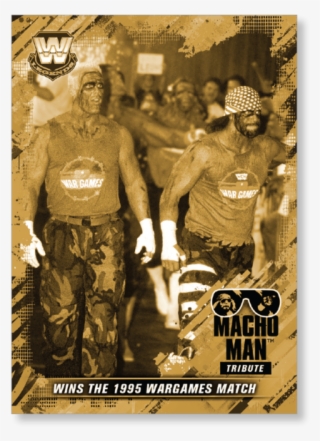 Gallery - Macho Man Wcw Sting #7759550