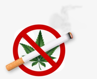 Smoking Cannabis Around Pets Could Also Cause Respiratory - Drugs De Addiction #7759661