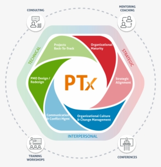 Practical Thinking Experience - Portuguese Language #7760065