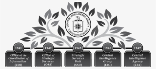 Shortly After 9/11, The Cia Considered Using A Drug - Label #7761126