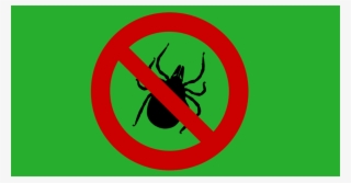 Zecken Clipart #7762182