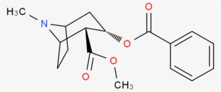 Cocaine 分子结构 Cas 50 36 2) - P Toluic Acid Functional Group #7762689