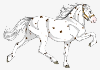 Stallion #7763554