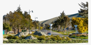 Boulevard Park On Taylor Sub Division Blenheim Marlborough - Spruce #7763689