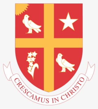 University Of St - Universidad San Thomas Houston #7764075