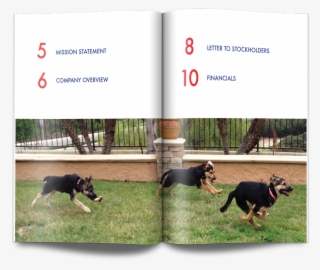 Dobermann #7764159