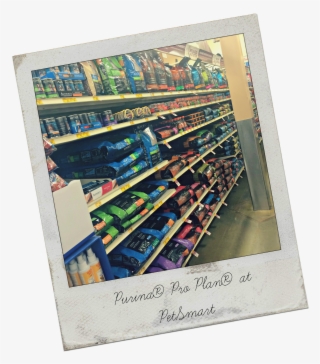 Shelf #7764323 Shelf #7764323