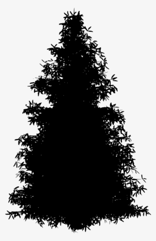 Download Png - Christmas Tree #7766652