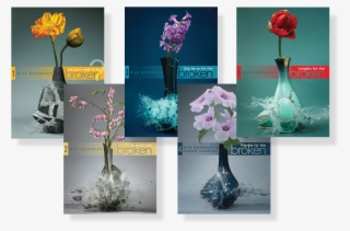 Get The Broken Series Books #7767517