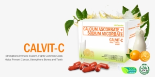 Calvit-c Capsule - Halal Philippines #7767566