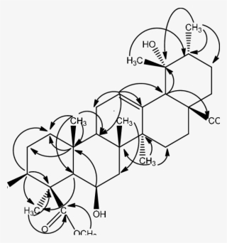 Selected Hmbc Correlations Of Compound - Diagram #7768705