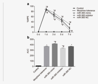 The %mpe Of Rats In Each Group After Administration - Diagram #7769384