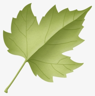 Leaf Clipart Woodland - Maple Leaf #7769747