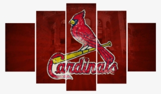 St Louis Cardinals #7770556