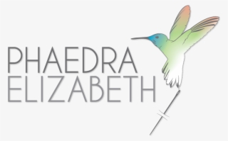 As A Designer I Am Really Clear About What I Am Good - Hummingbird #7771436